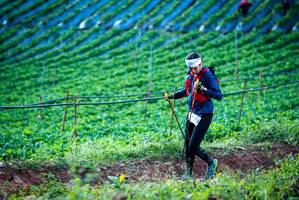 BIB: 
                            <button type="button" onclick="openModal(19160004)" class="btn btn-primary btn-sm float-right btn-popup" data-toggle="modal" data-target=".modal-high-quality">
                        <i class="fas fa-shopping-cart"></i> Add to Cart
                    </button>
                                            <button type="button" onclick="isThisMe(19160004, true)" class="btn btn-success btn-sm float-right btn-popup btn-isme hidden" data-toggle="tooltip" data-placement="bottom" title="นี่คือรูปของคุณใช่ไหม คลิกที่นี่เพื่อเอาเข้าอัลบั้ม">
                        <i class="fas fa-plus"></i> Add to album
                    </button>
                    <button type="button" onclick="isThisMe(19160004, false)" class="btn btn-warning btn-sm float-right btn-popup btn-isnotme hidden">
                        <i class="fas fa-ban"></i> Remove from album
                    </button>